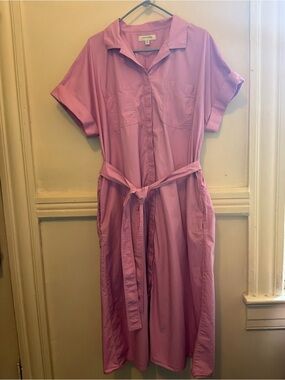 Banana Republic Pink Shirt Dress